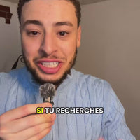 le Pure TAHARA